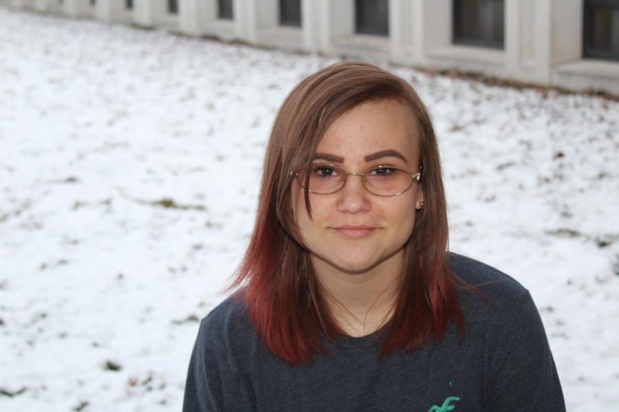 Freshman Lyn Jarrell is a first year staff writer on the Elkhart Memorial GENESIS staff. She specializes in opinion columns. 
