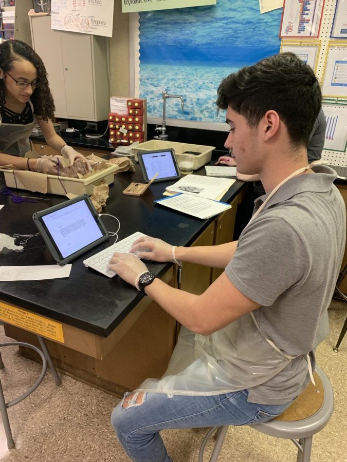 Juniors Mya Reeves and Juan Diaz work on their fetal pig lab while also taking notes about the dissection in their Anatomy course on Friday, May 10. The current unit these students are working on is the cardiovascular system, in this case especially in regards to the fetal pig. 