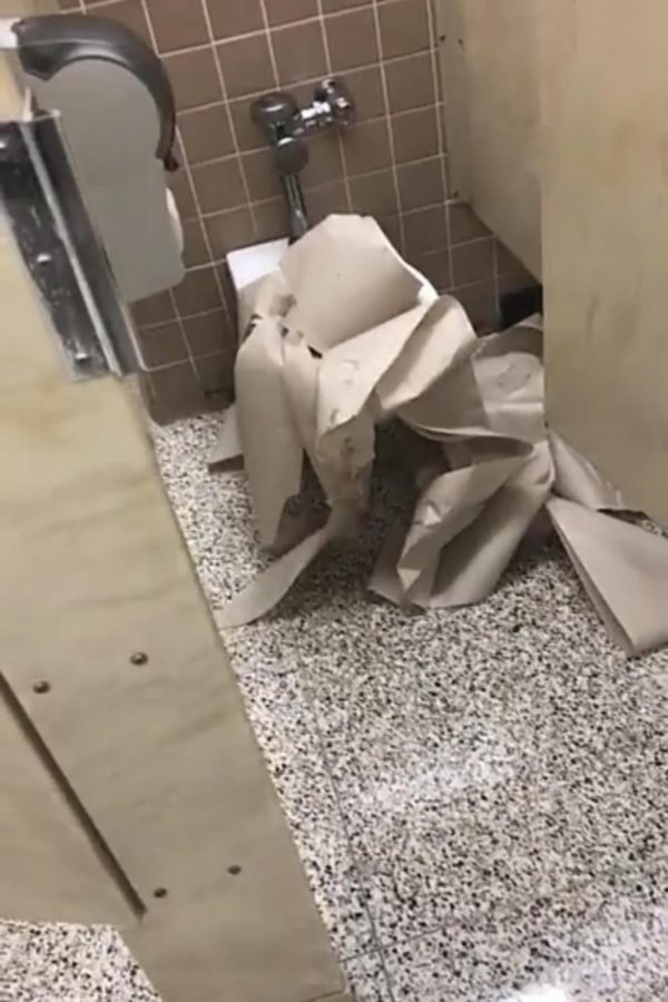 A+full+paper+towel+roll+was+taken+from+its+enclosure+and+thrown+into+a+toilet.