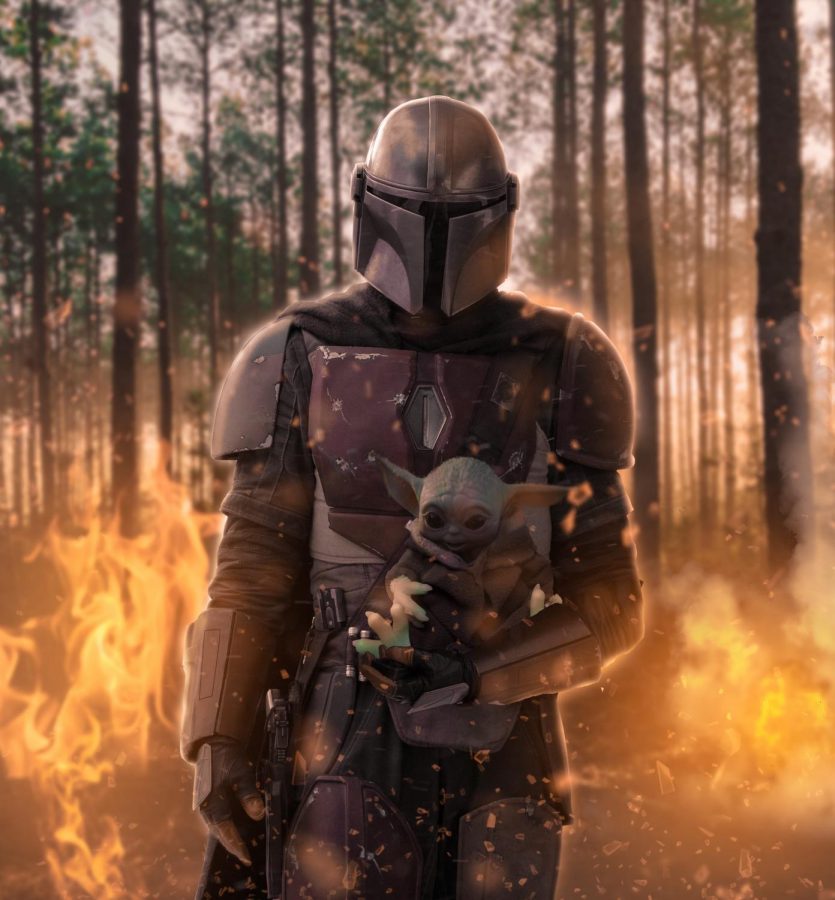 Star Wars: The Mandalorian, a beyond satisfactory film for all fans, not just lovers of Star Wars.