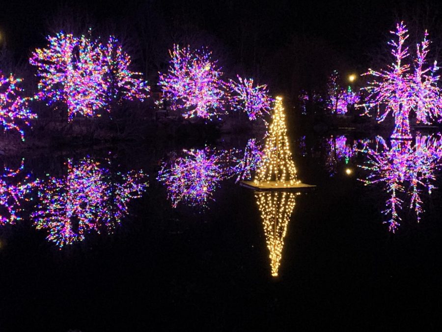 The Botanical Garden Light Show Will Light Up The Holidays