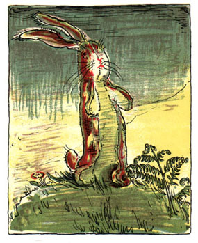 Reason To Celebrate: Velveteen Rabbit Turned 100!