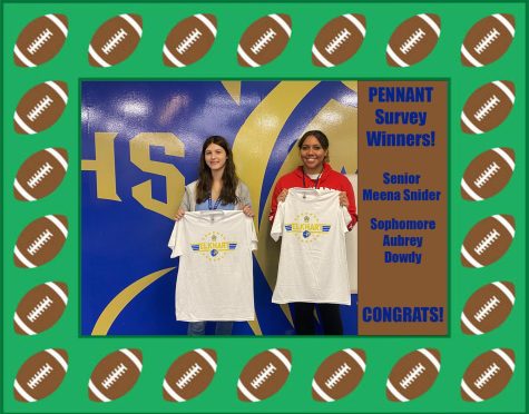Congratulations to The PENNANTs Survey Winners!
