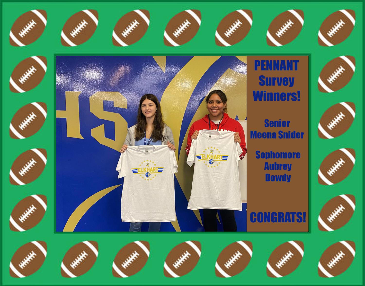 congratulations-to-the-pennant-s-survey-winners-the-pennant-online