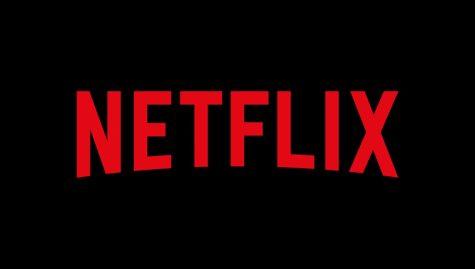Netflix Streaming Service: Awash With Cancellations