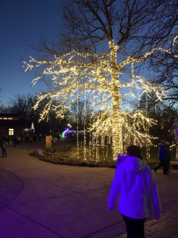 Lights, Camera, Action: Elkharts Christmas Festivities Abound