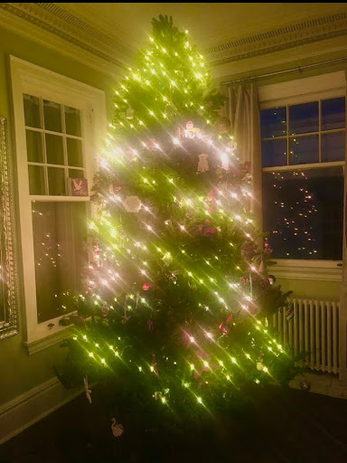 Synthetic vs. Real Christmas Trees: What Is The More Sustainable Alternative?