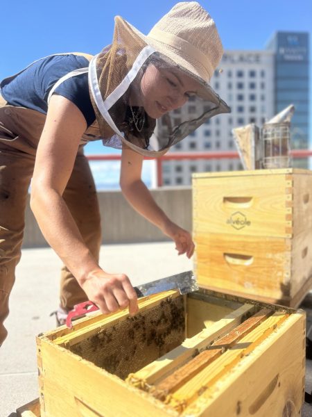 Beekeeper: A Vital Job Unbeknownst To Most