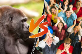 People Going Bananas Over Gorilla Vs. 100 Men