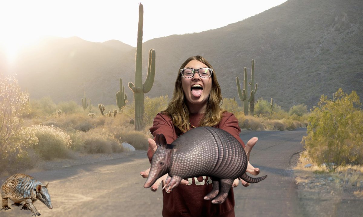 Small Armies Of Armadillos Head North...Slowly!