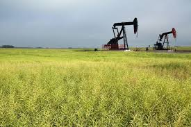 Two oil wells in the middle of a meadow.